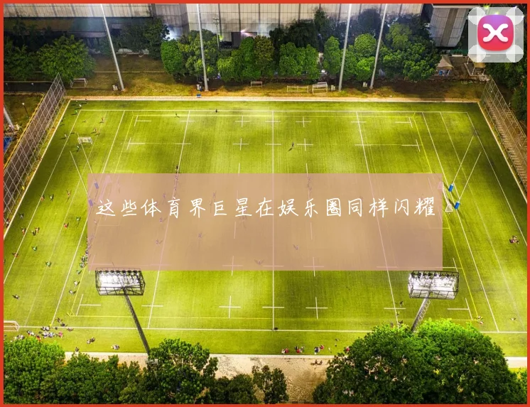 这些体育界巨星在娱乐圈同样闪耀
